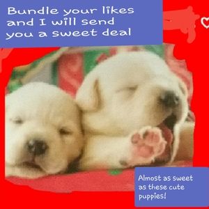 Get great deals on bundles!